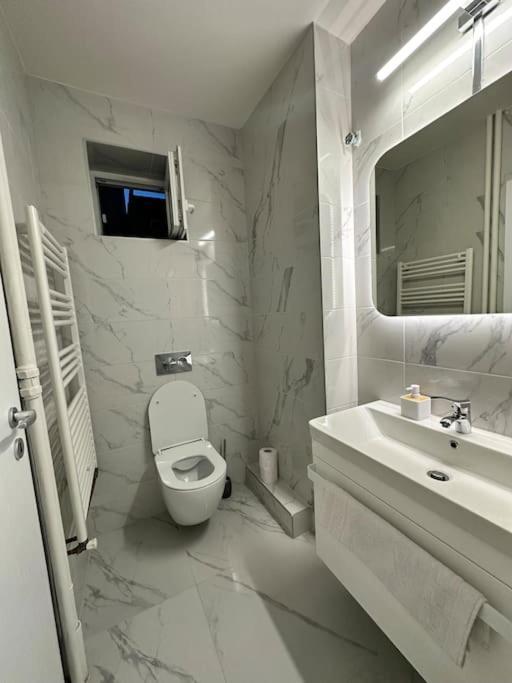 Apartment Ultracentral Luxury Apartament Timisoara