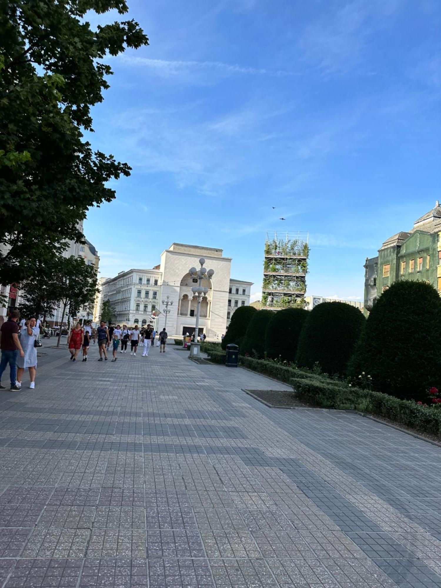 Ultracentral Luxury Apartament Timisoara